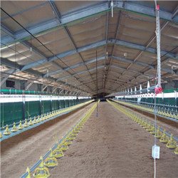 prefabricados ventilacion metal galpones avicola de engorde para pollos gallinas aves ponedoras