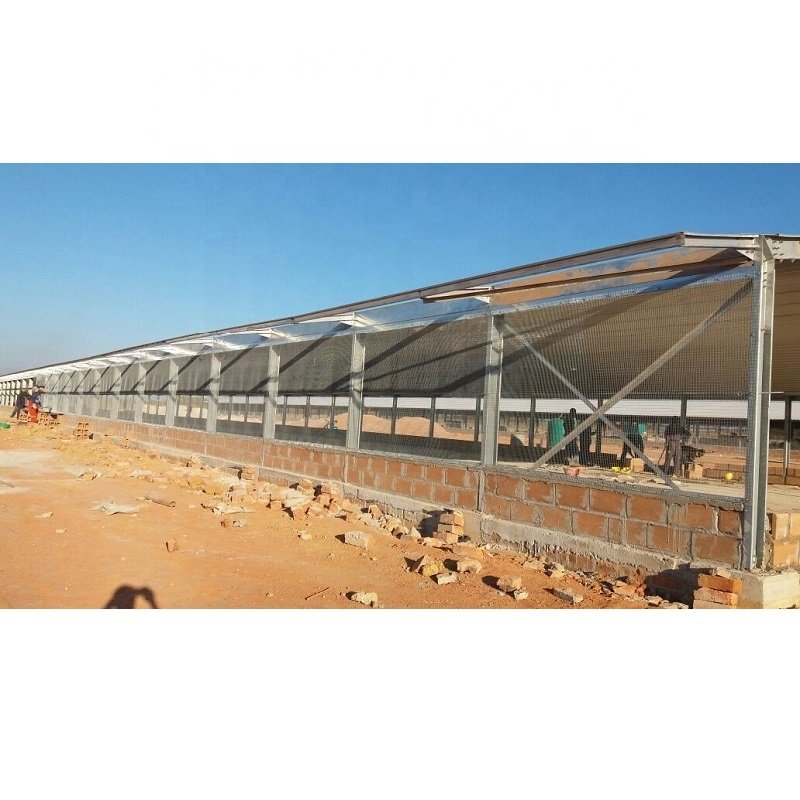 prefabricados ventilacion metal galpones avicola de engorde para pollos gallinas aves ponedoras