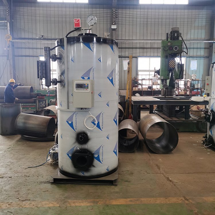 100 kg/h 200 kg 500Kg Small Vertical Diesel Oil Gas Fired Hot Water Boiler For Swimming Pool