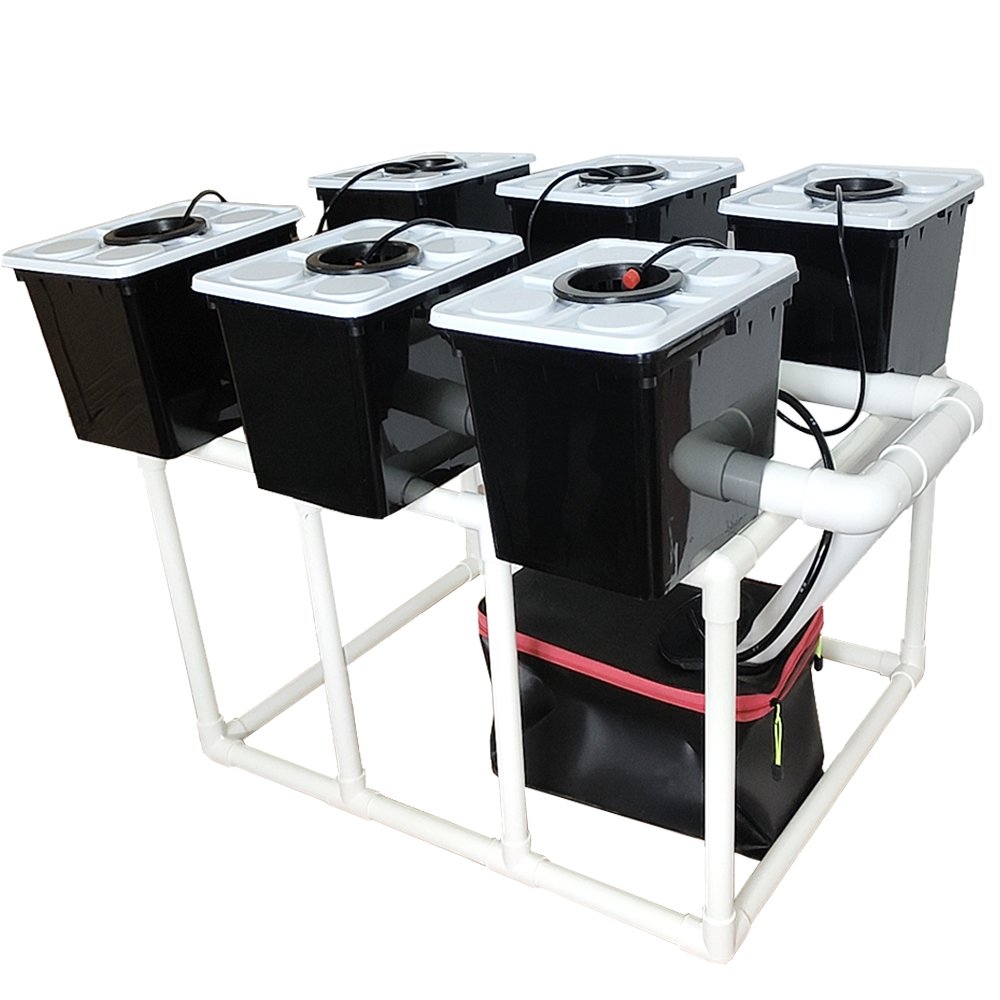 Dutch Bucket System for Tomatoes and Strawberries 6 Buckets Stands Drip Irrigation Tank Pump Included