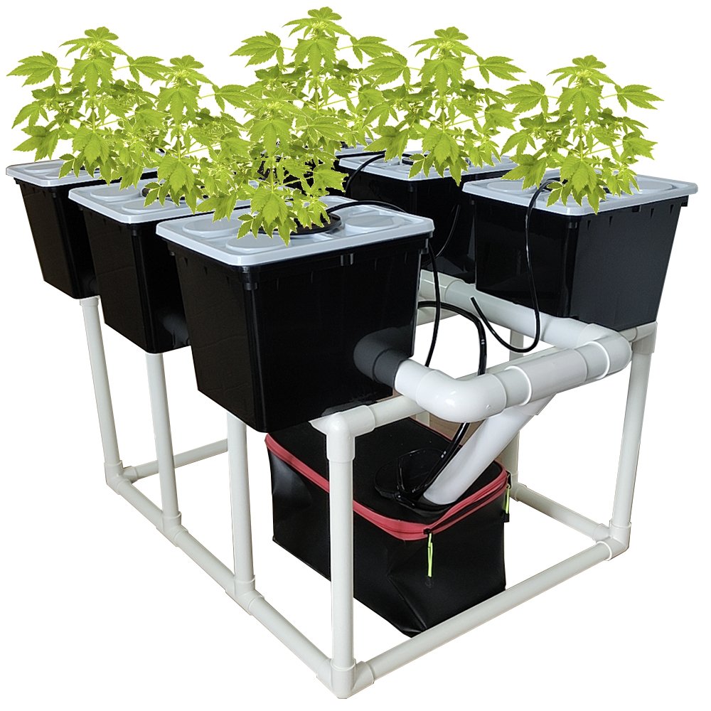 Dutch Bucket System for Tomatoes and Strawberries 6 Buckets Stands Drip Irrigation Tank Pump Included
