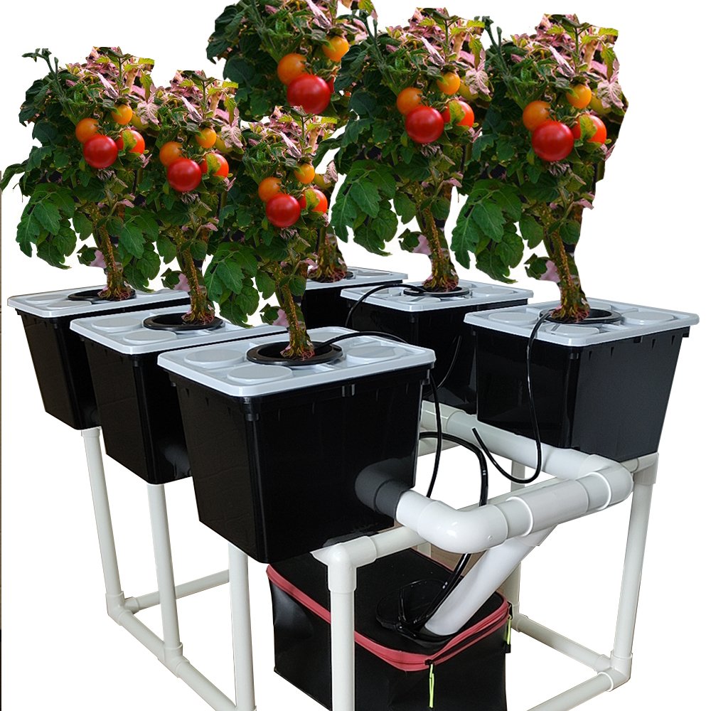 Dutch Bucket System for Tomatoes and Strawberries 6 Buckets Stands Drip Irrigation Tank Pump Included