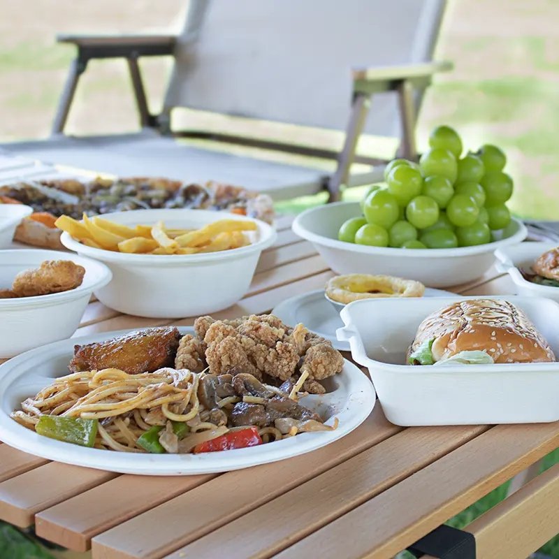 New product ideas 2023 food safety square sugarcane pulp biodegradable bagasse dessert disposable plates with lid