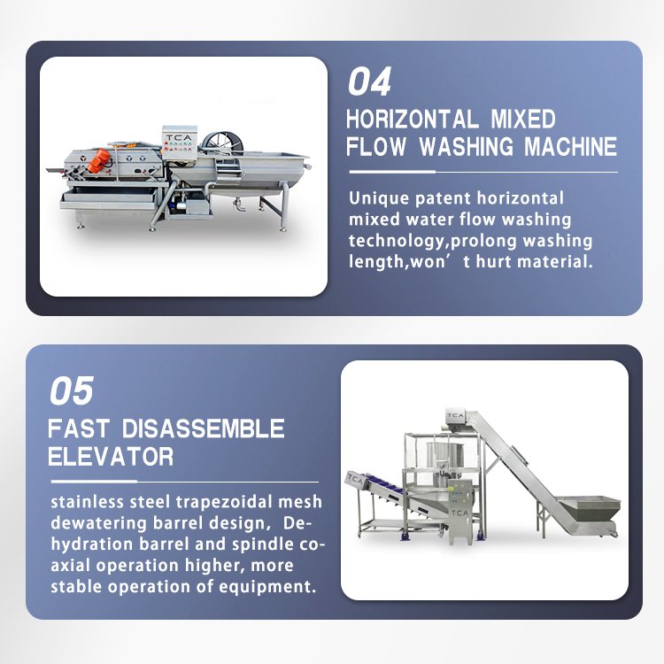 leaves vegetables washing and dryer line processing line for fruits and vegetables
