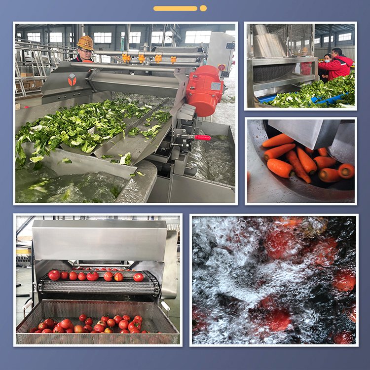 leaves vegetables washing and dryer line processing line for fruits and vegetables