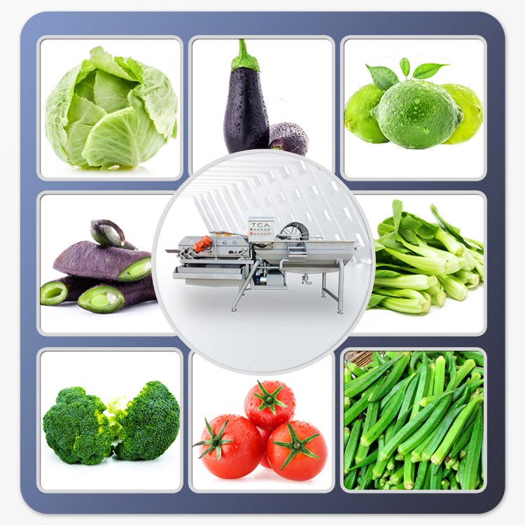 leaves vegetables washing and dryer line processing line for fruits and vegetables