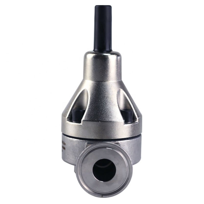 metering pump parts SUS304 back pressure valve Relief Valve clip-type