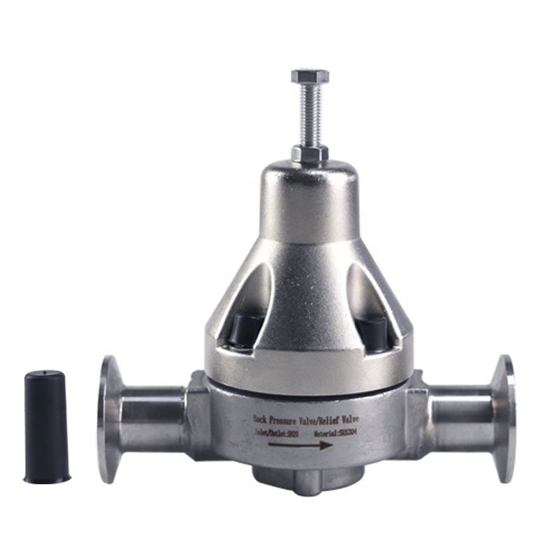 metering pump parts SUS304 back pressure valve Relief Valve clip-type