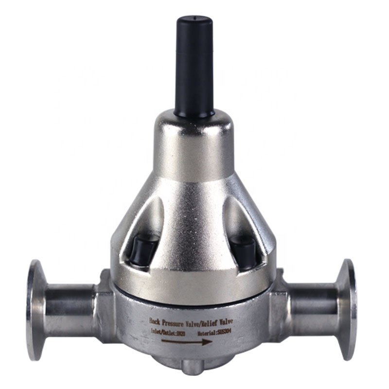 metering pump parts SUS304 back pressure valve Relief Valve clip-type