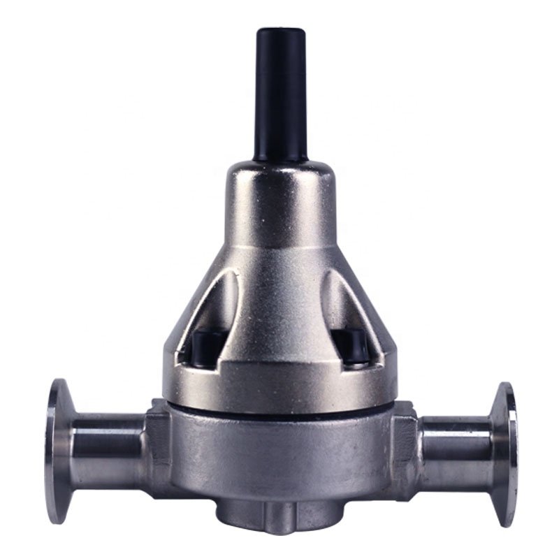 metering pump parts SUS304 back pressure valve Relief Valve clip-type