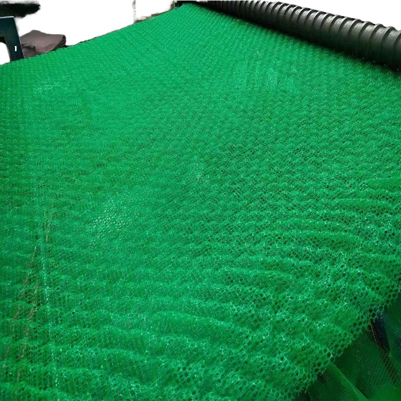 Modern Industrial Design 3D HDPE Geonet Plastic Erosion Control Garden Road Outdoor Dam Slope Protection Earthwork Products