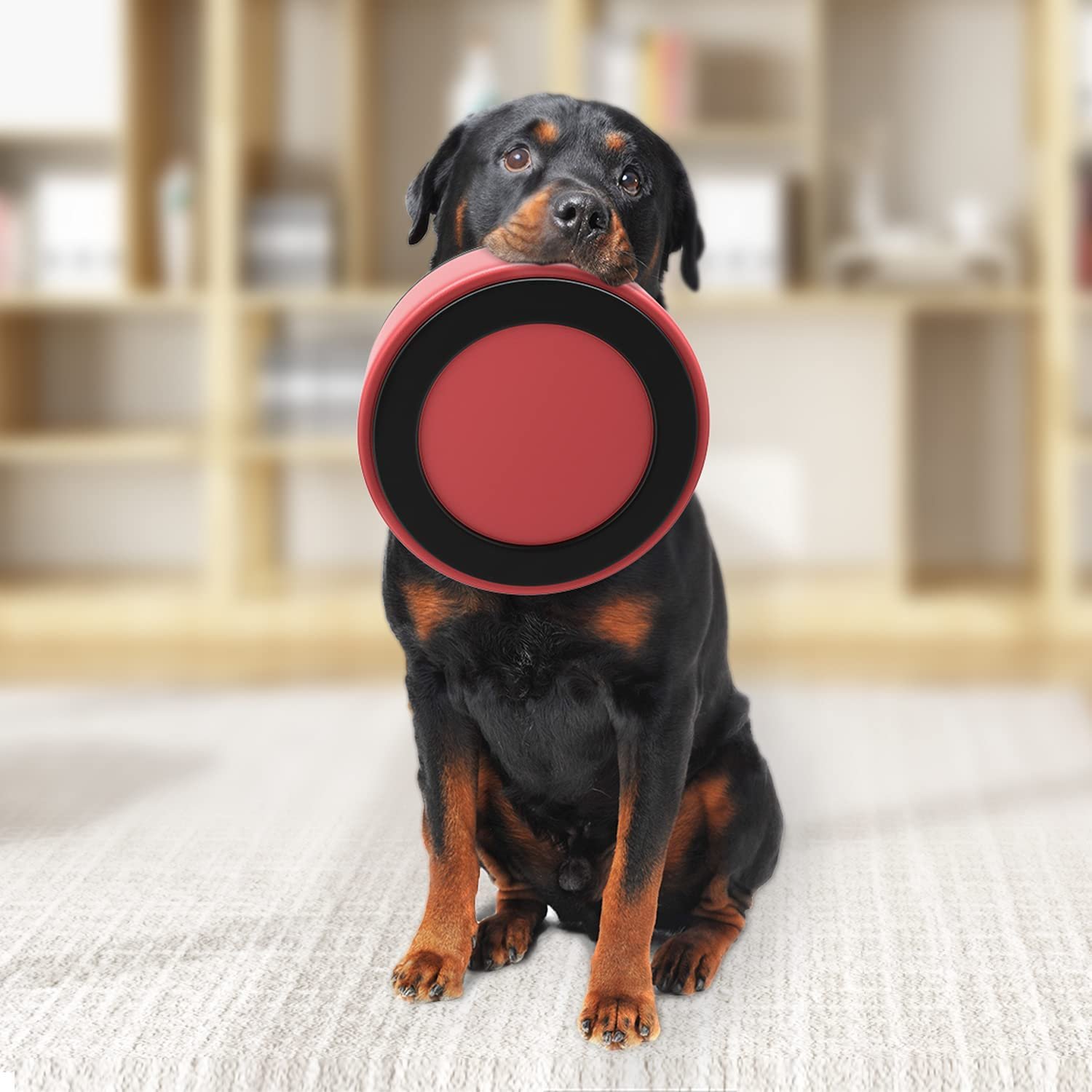 Wholesale Low Price Manufactured Customized LOGO Double Layer 304 Stainless Steel Pet Feeding Bowl