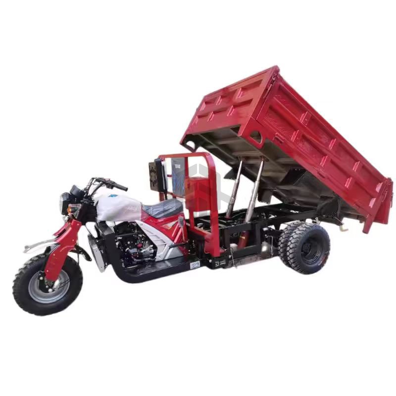 New Arrival200 cc Fuel Cargo Tricycle Water Cooled Farming Gasoline Motorcycle With Carriage