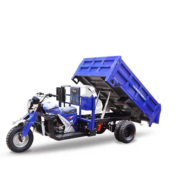 New Arrival200 cc Fuel Cargo Tricycle Water Cooled Farming Gasoline Motorcycle With Carriage