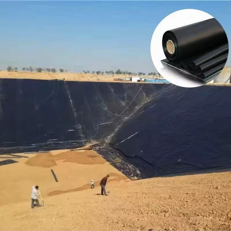 0.5mm 1.0mm Pond Liner HDPE Geomembrane Dam Liner Waterproofing Geo Membrane Geomembrane Price
