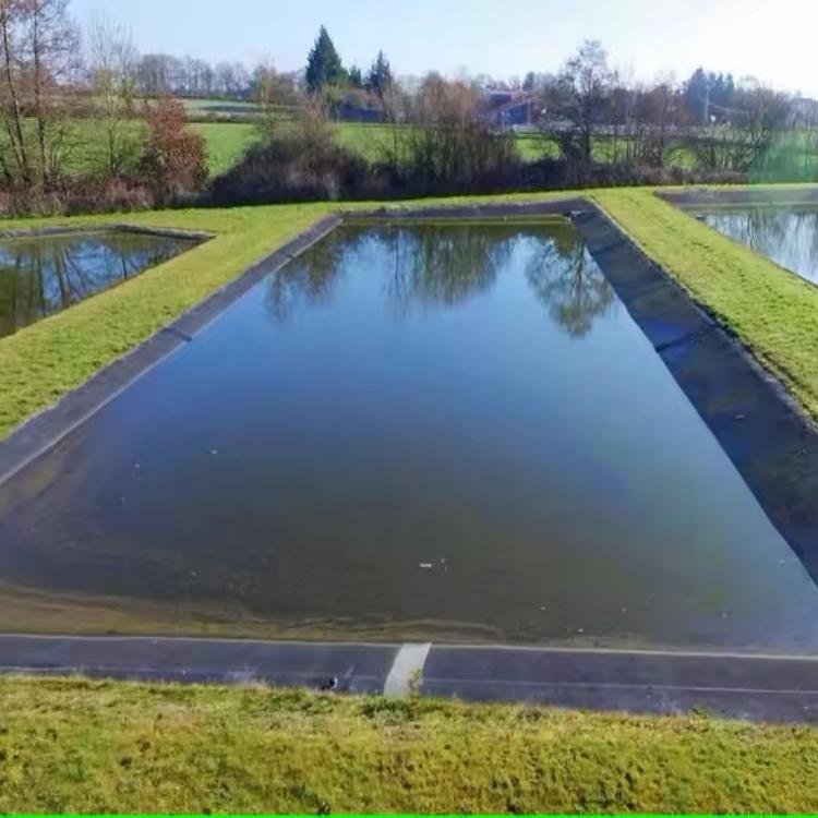 0.5mm 1.0mm Pond Liner HDPE Geomembrane Dam Liner Waterproofing Geo Membrane Geomembrane Price