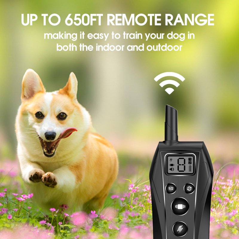 Usb Rechargeable Pet Safety Collars Hunt Waterproof Rechargeable Sensitivity Adjustable Dog Barking Control Training Dog No Bark