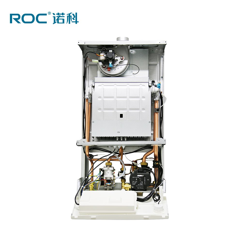 Wall hung Gas Boiler Water Heater Instant gas boiler hot water with room heating for personal use wall gas boiler