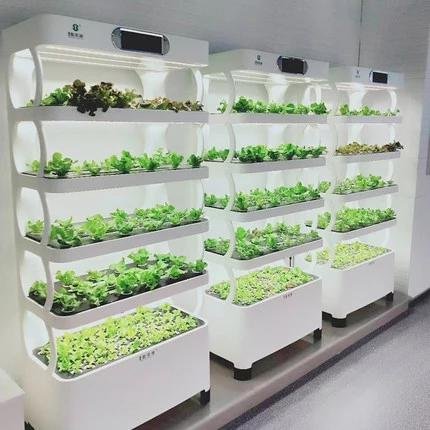 Smart low cost plant hydroponics vertical tower garden hydroponic grow systems plant fish vegetable with LED grow Light