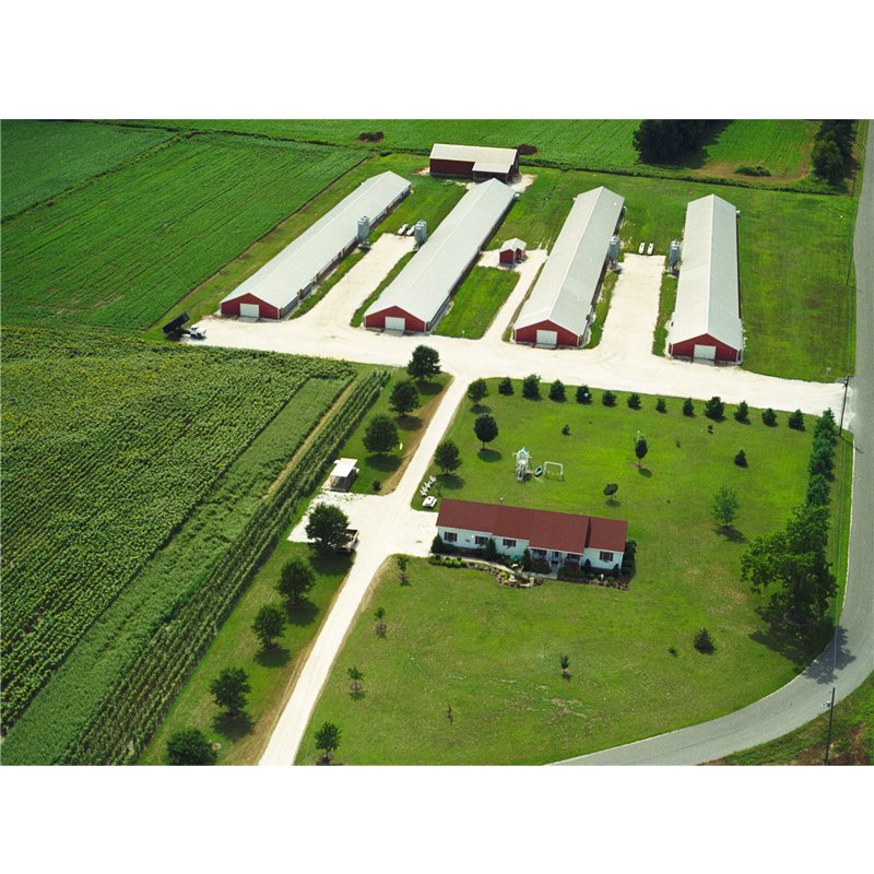 Low cost prefab poultry farms projects for broilers