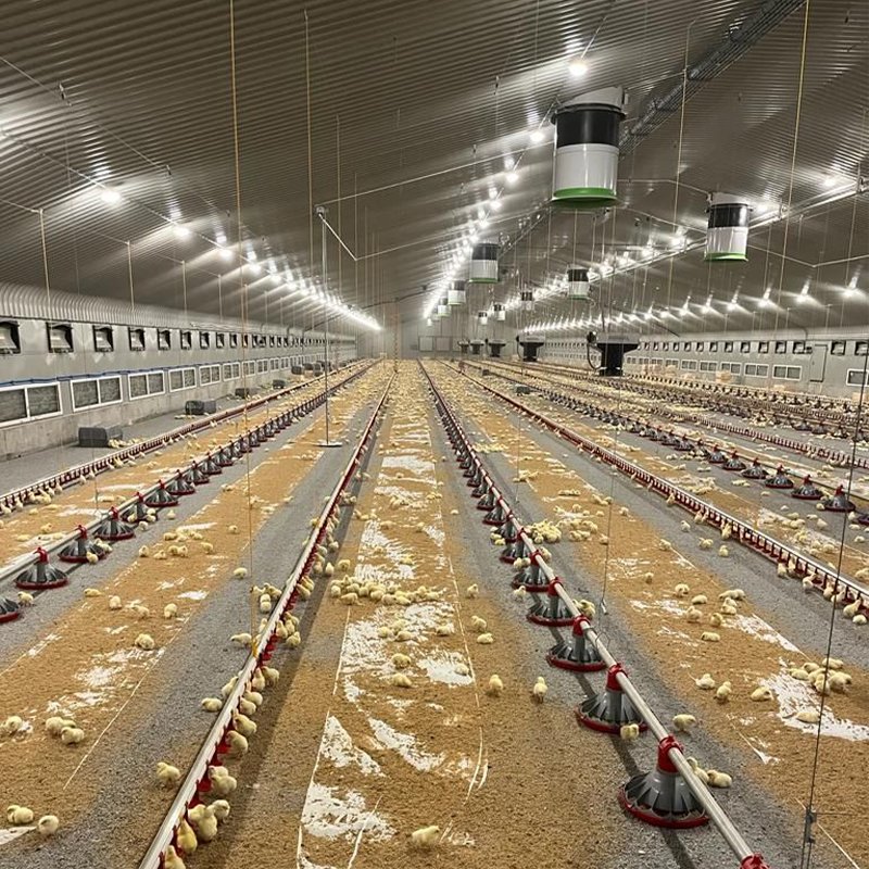SANHE high quality Broiler controlled farms poultry farming chicken House