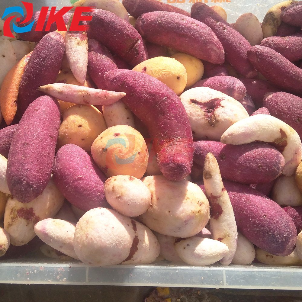 Electric Brush Roller Washing Polishing Carrot Potato Peeler Machine IKE Provided Vegetable Fruit Washer