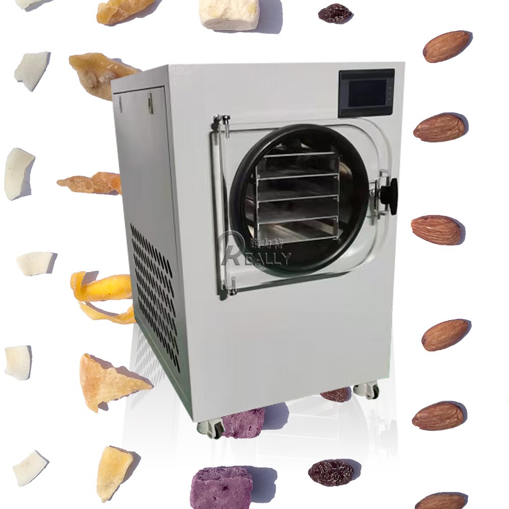 Water Cooled Production Freeze Dryer With Good Price Vegetable Freeze Dehydrator
