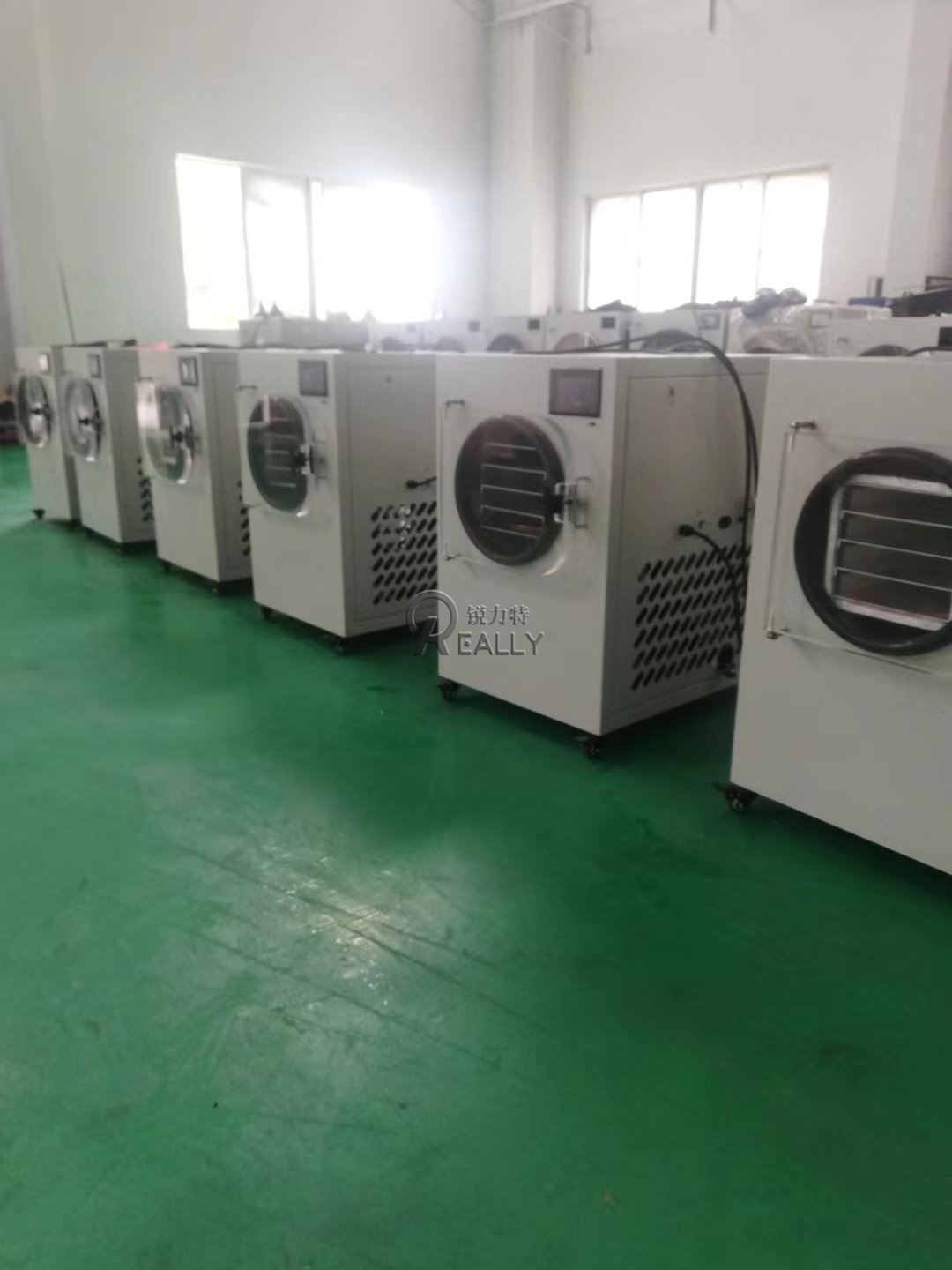 Water Cooled Production Freeze Dryer With Good Price Vegetable Freeze Dehydrator