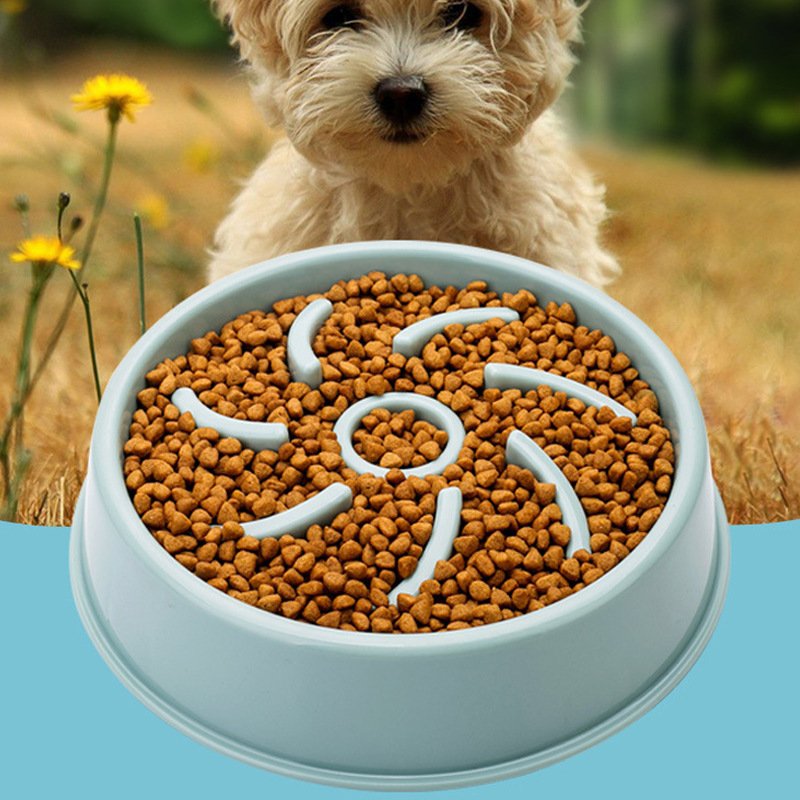Pet anti-choking dog bowl slow-feeding bowl slow-feeding device non-slip durable dog bowl pet supplies