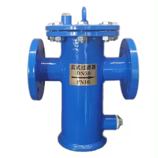 In-Stock API Flange CI Di Blue Filter Strainer Valves Product Type