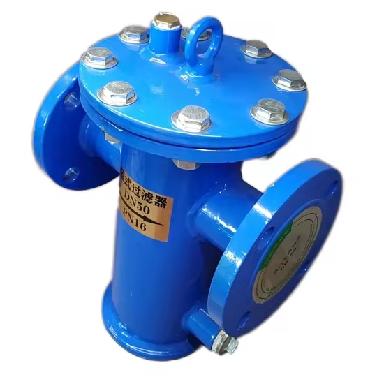 In-Stock API Flange CI Di Blue Filter Strainer Valves Product Type