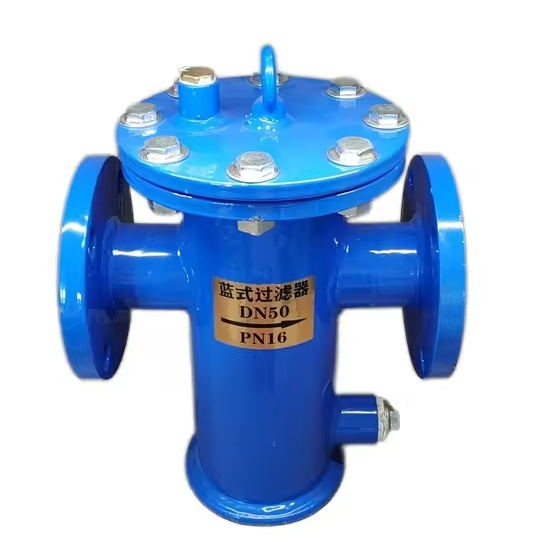 In-Stock API Flange CI Di Blue Filter Strainer Valves Product Type