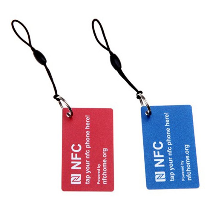 High quality nfc epoxy tag key chain RFID access control key card metal case tag nfc rfid keyfob tag 13.56 mhz