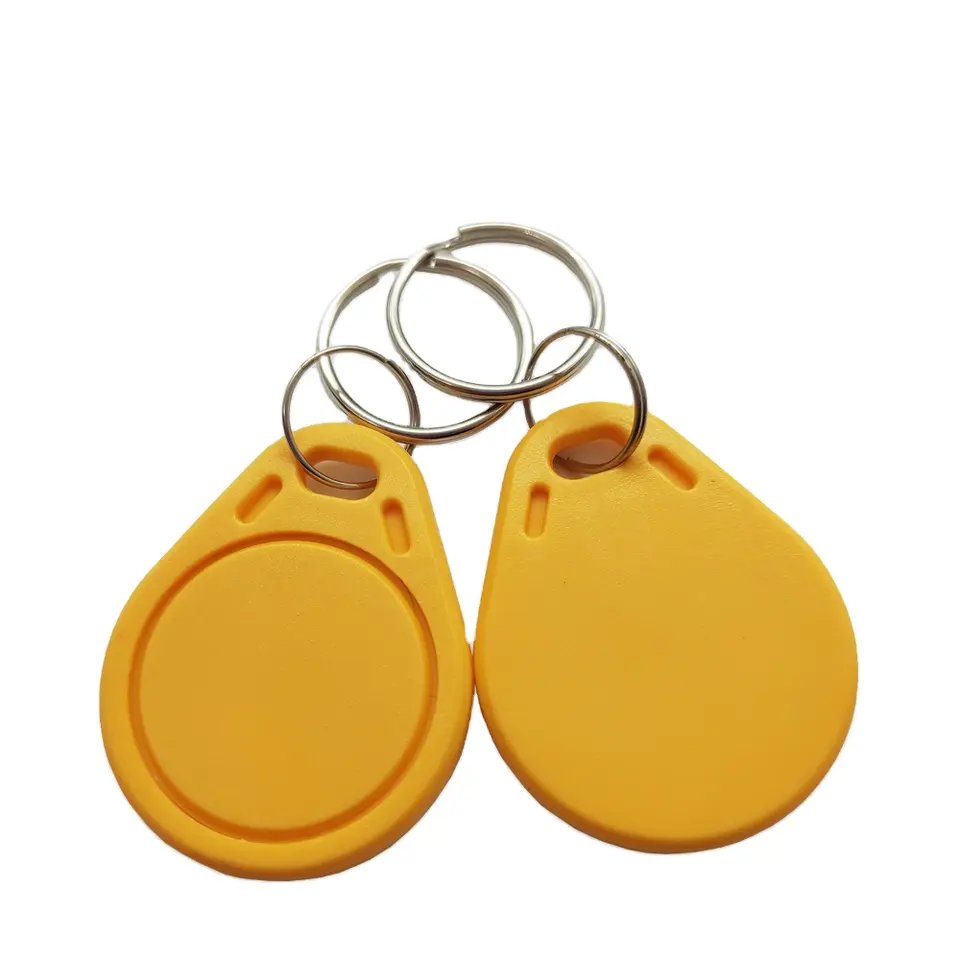 key tag with 125Khz and 13.56Mhz for access control system rfid keyfob 125khz rfid tags keyfob Token Tags Keychain