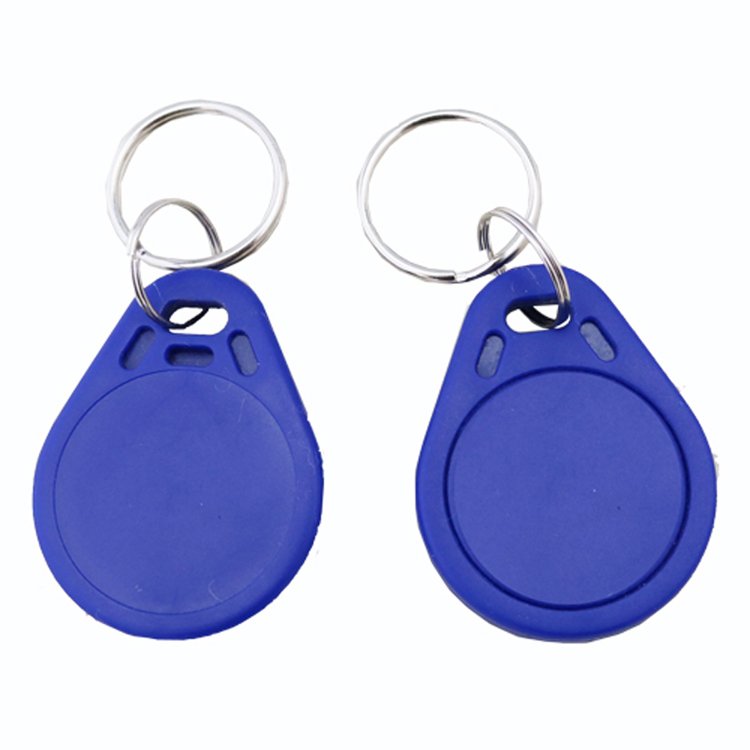 Hot selling read only Keyfob RFID 125KHz Smart Key tag Access control keychain