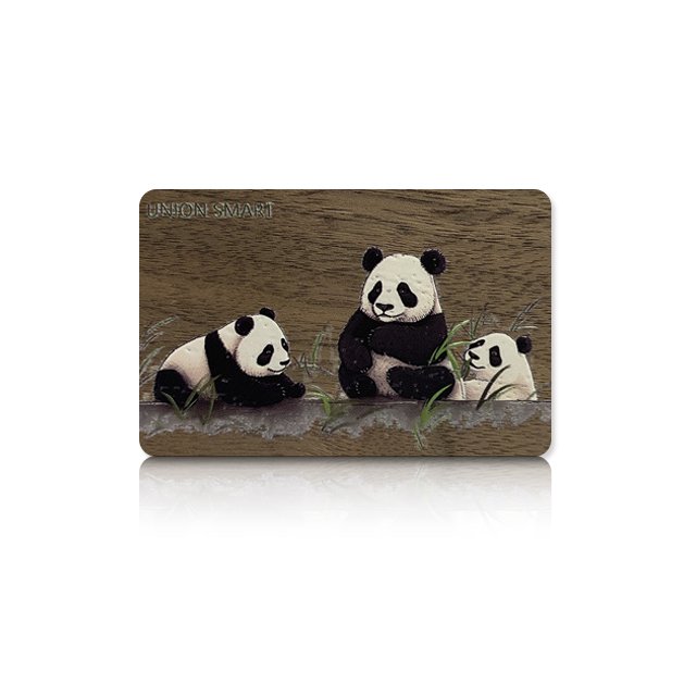 security authenticity card access control cards Contactless 125kHz RFID PLA sustainable material