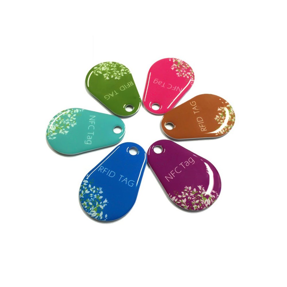 125KHz 13.56MHz Proximity TK4100 EM4200 EM4305 T5577 RFID Keyfob Keychain Ring Rewritable RFID Key Fob Tag ID key card