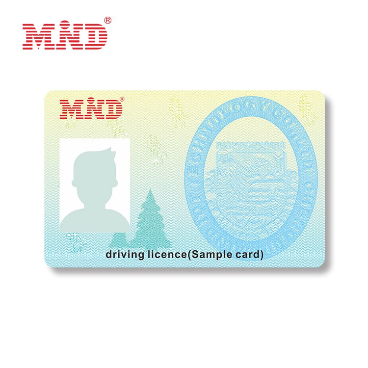 Design Eco Friendly Bio Card Teslin Paper Card For Photo Card