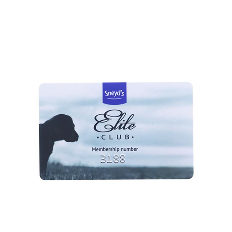 Quality assure format programmable Weatherproof digital Access Control Smart Rfid vip Card