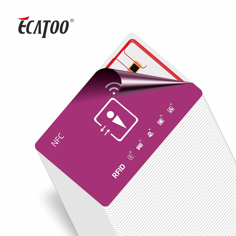 Customized Encoding Contactless PVC RFID Cards Access Control Smart cards