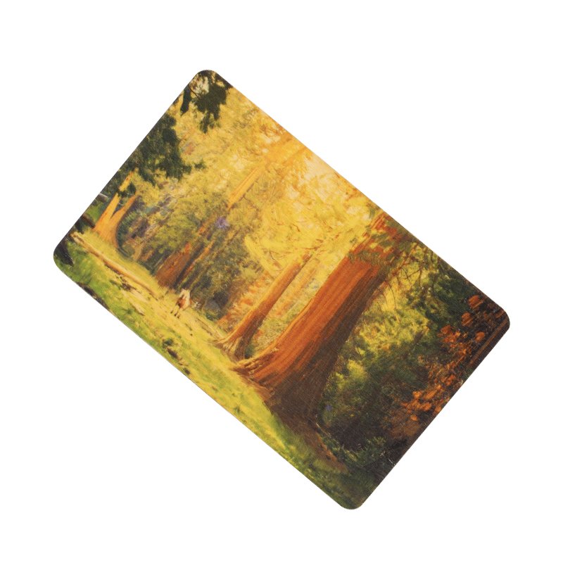 Xs 125Khz 13.56Mhz Access Control Hotel Key Card RFID NFC Wooden Chip Card