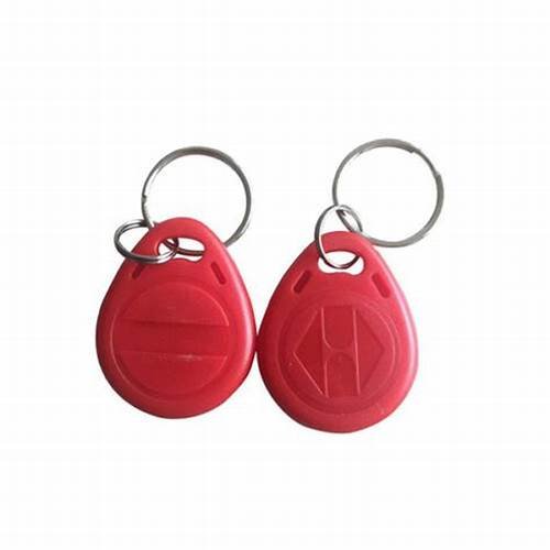Custom Logo Smart Lock Key Tag RFID NFC Chip PVC Epoxy Card Waterproof 13.56Mhz NFC ISO Mini Tag 125Khz Frequency ISO 15693