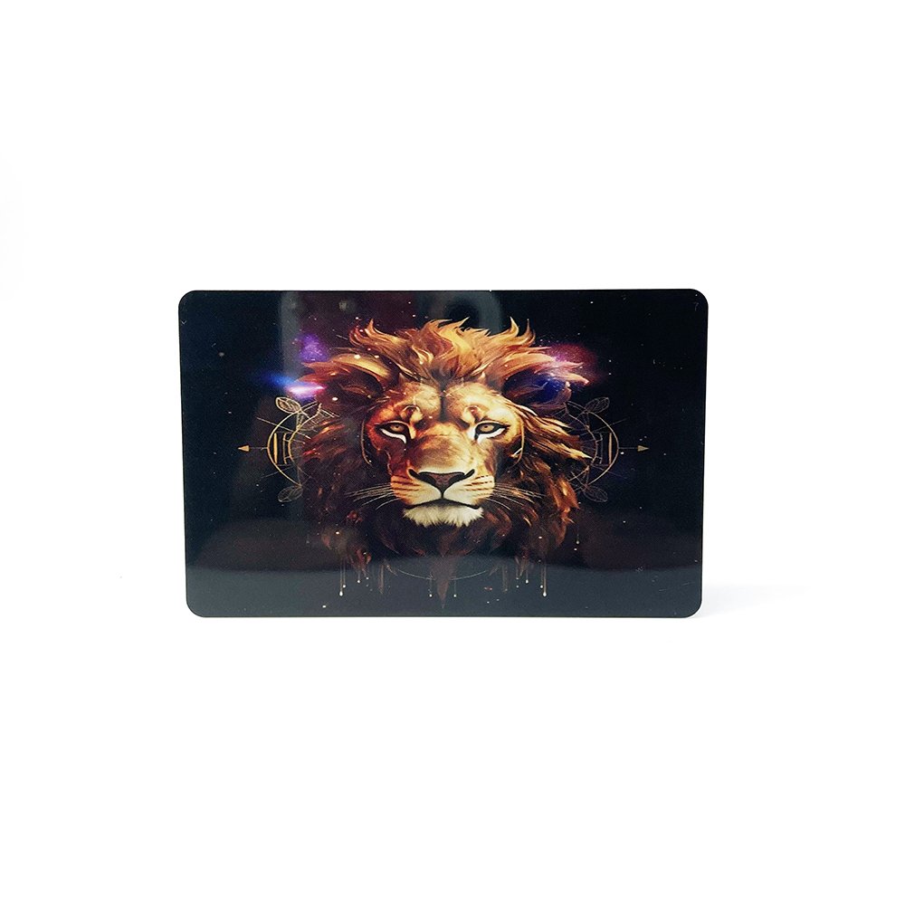Vivid Printing NXP Chip NFC Card Write URL NTAG213 / NTAG215 / NTAG216 Payment Card Promotion Gift Card