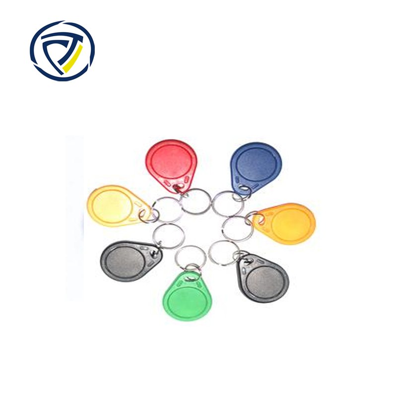 C Key Chain Card keyfob for access controller