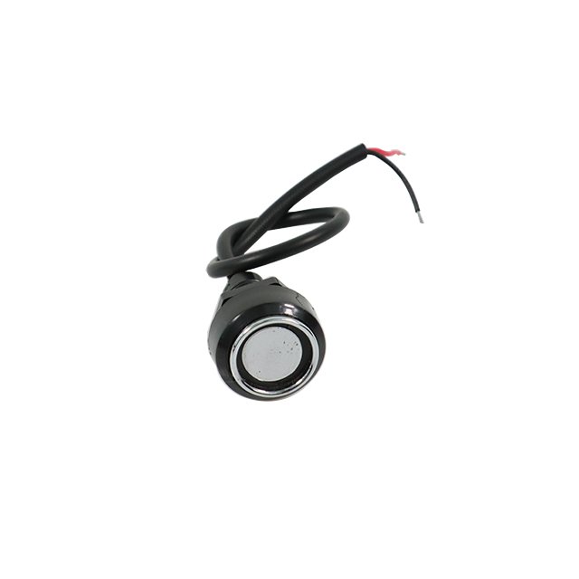 High Quality Waterproof Dallas Ibutton Probe DS9092 TM Card Reader Access Control Probe Reader