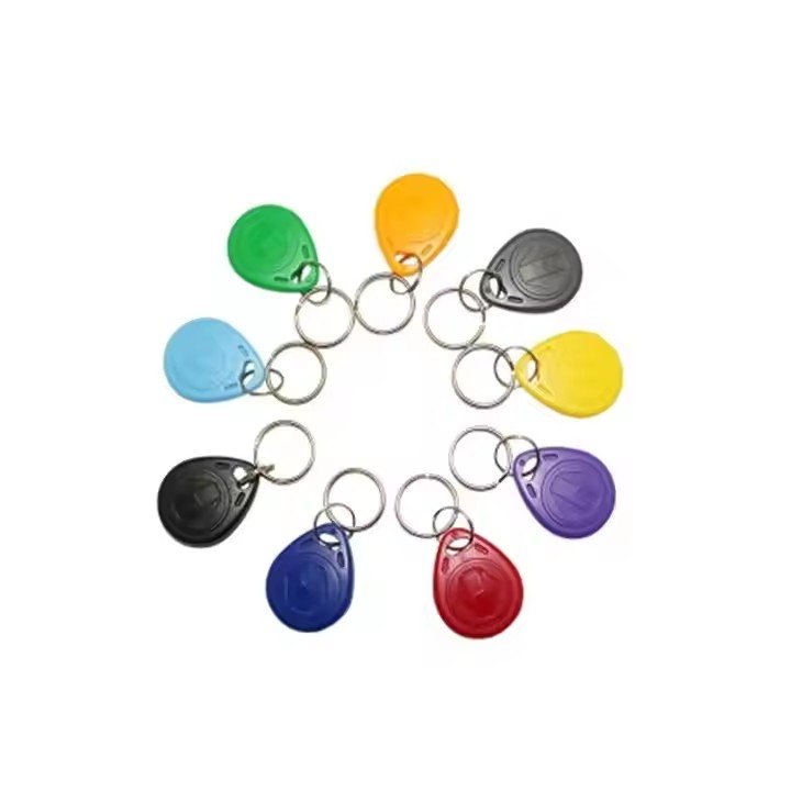125Khz RFID Proximity EM ID EM4100 Card Token Tags Key Keyfobs for Access Control Time Attendance