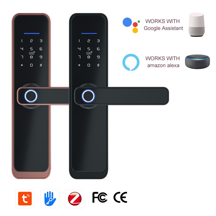 Cerradura Inteligente Electronic Biometric Access Tuya APP Remote Control Smart Fingerprint Wifi Door Lock For Wooden Doors