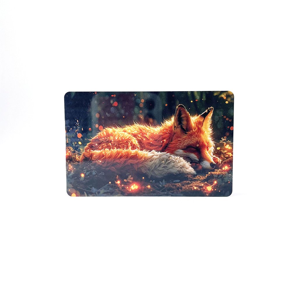 Manufacturer Wholesale 1K Chip RFID Card 13.56MHz Fudan F08 Android Phone Read Write