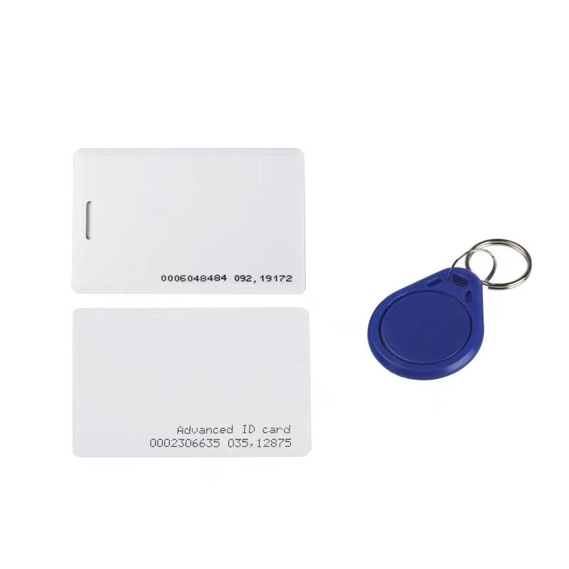 Support Custom Logo RFID Smart Tag 125Khz RFID Keyfobs Access Control EM4100 Keychain Custom Shape Size RFID Key Tag Fob