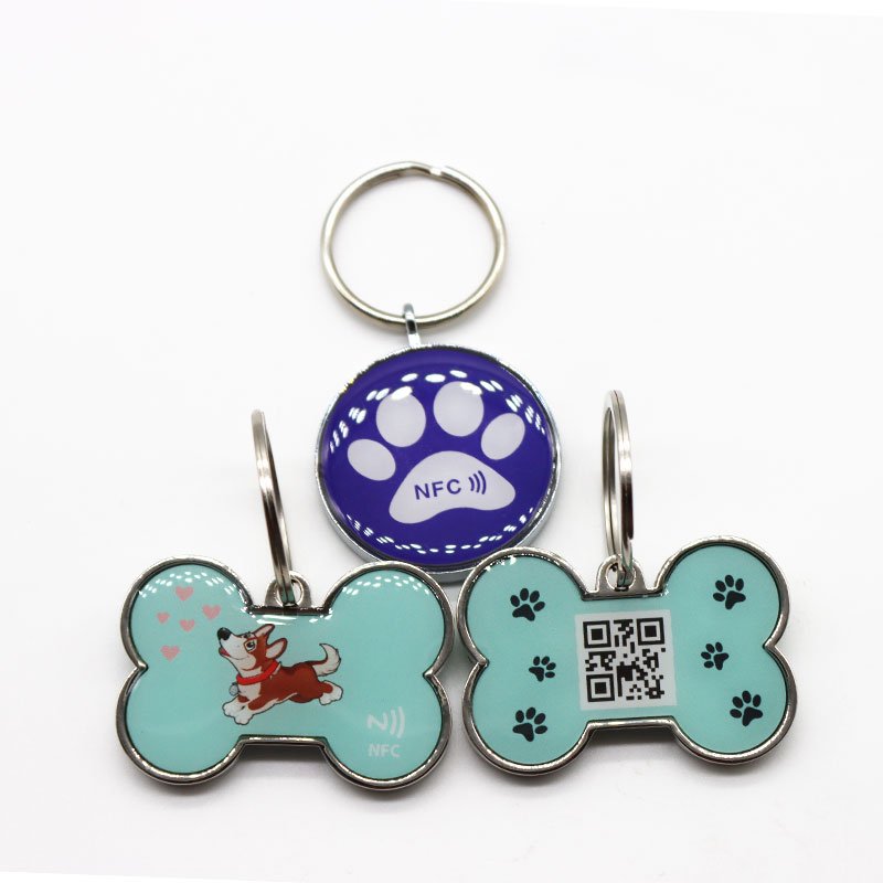 RFID Epoxy Key Chains Tags NFC 213 Pets Customize Access Control Keyfob Keychain Epoxy Smart NFC Cards